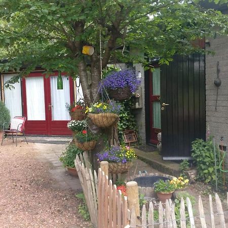 Bed&Breakfast Het Oude Bos Wijnjewoude Eksteriør billede