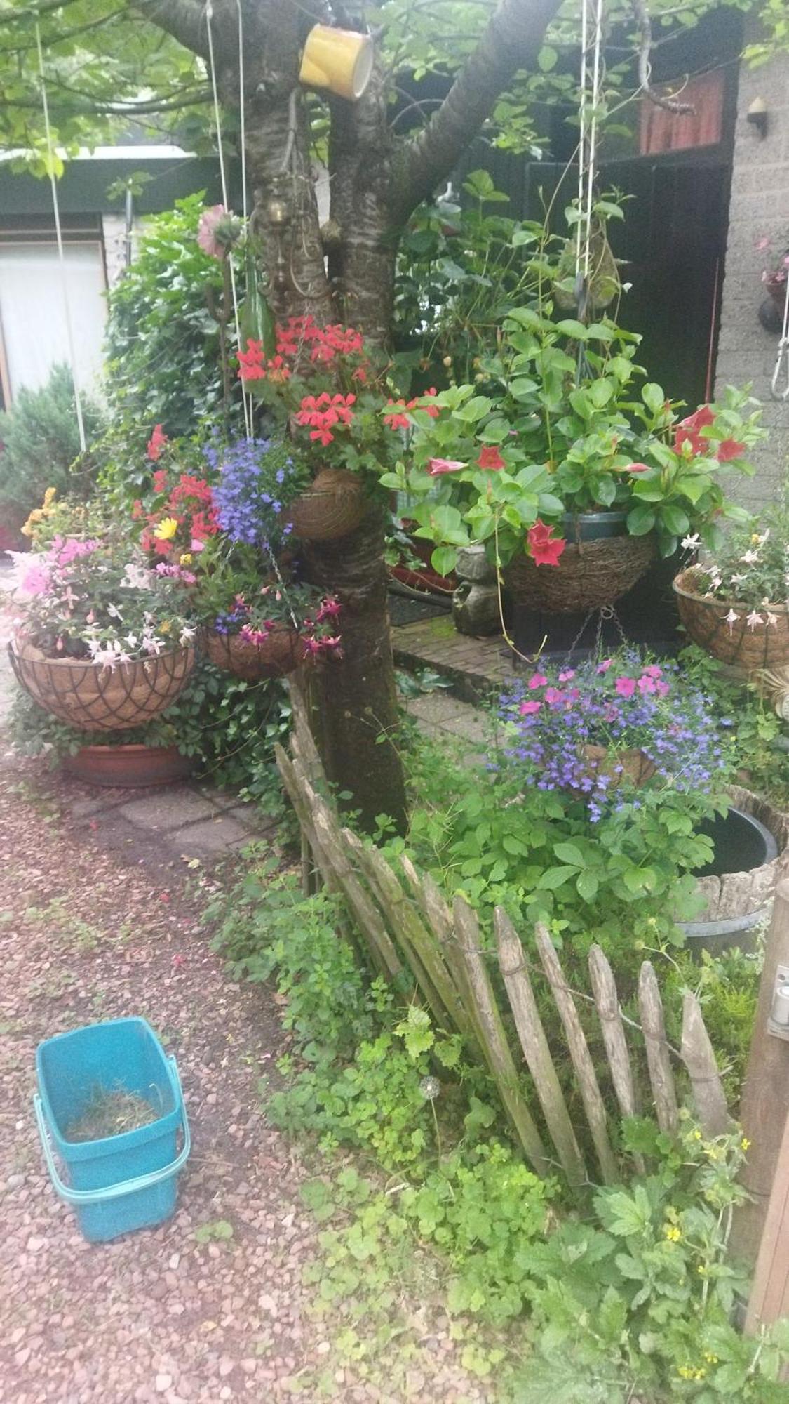 Bed&Breakfast Het Oude Bos Wijnjewoude Eksteriør billede